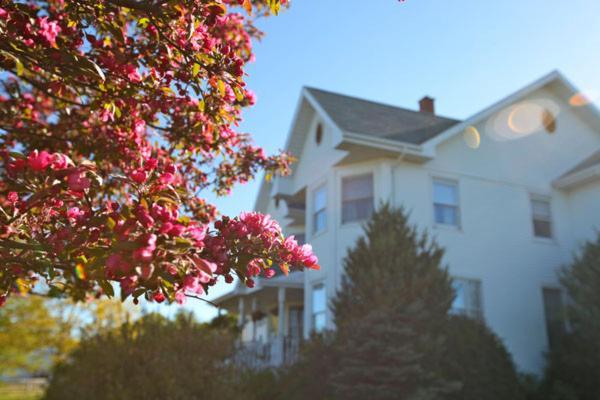 Twin Peaks B&B Mindemoya Exterior photo